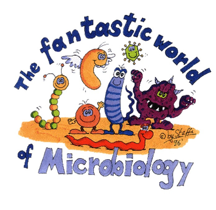 The fantastic world of micro